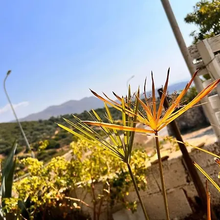 Apartment Village House Himare